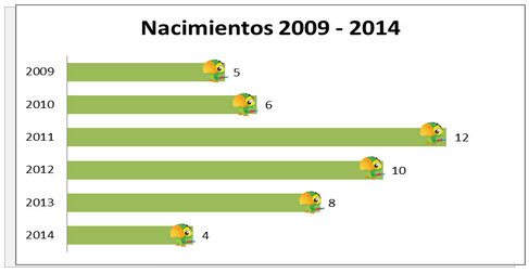 Nacimeintos2