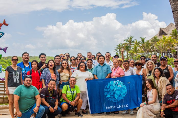 Abeja melipona 1