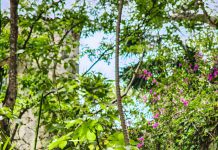 Grupo Xcaret celebrates 24 consecutive years of receiving the ESR® distinction from Cemefi.