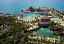 Alianza por la Educación Ambiental de Quintana Roo