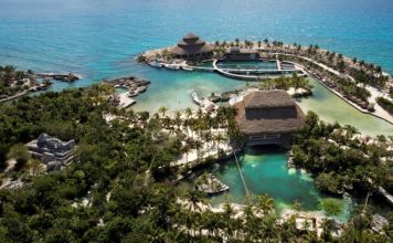 Alianza por la Educación Ambiental de Quintana Roo