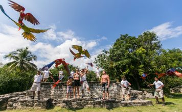 Xcaret: la Mejor Experiencia de Viaje, Revela Índice Orbitz 2014