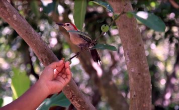 Repintando el cielo de colores