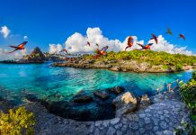 Xcaret, el Mejor Parque Temático Internacional 2016