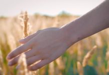 Si creías que sólo tenemos 5 sentidos ¡has vivido en el error!