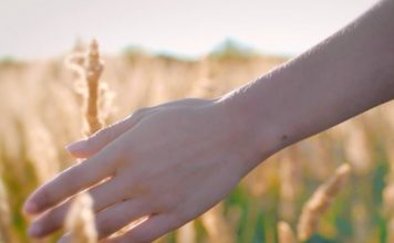 Si creías que sólo tenemos 5 sentidos ¡has vivido en el error!