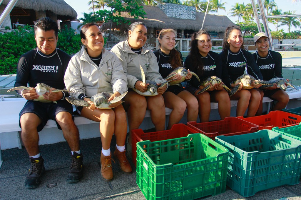 TORTUGAS REHABILTADAS EN EL HOSPITAL DE XCARET REGRESAN AL MAR-web