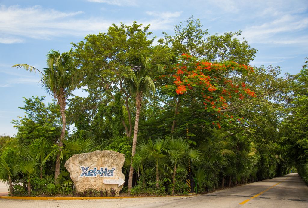 Experiencias Xcaret cumple 25 años reforestando.-.-.-ok