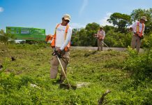 Reconoce CEMEFI a Experiencias Xcaret por Liderazgo en Reforestación