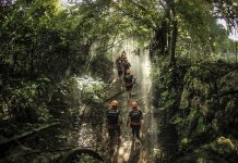 Xplor Bravest Race Elements