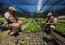 Presenta Experiencias Xcaret Memoria Con Resultados de su Gestión Sostenible