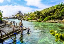 Otorga Viator el Premio 2017 Top Rated a Grupo Experiencias Xcaret