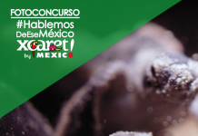 Niño con Bandera Entre los Escombros Gana Concurso  “Hablemos de ese México”