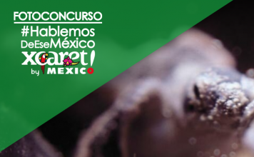 Niño con Bandera Entre los Escombros Gana Concurso “Hablemos de ese México”