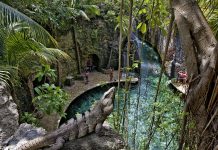 Retoma Grupo Xcaret operaciones tras paso de Huracán Delta