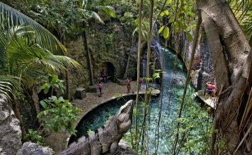 Retoma Grupo Xcaret operaciones tras paso de Huracán Delta