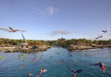 Registra Experiencias Xcaret la Mayor Transformación Digital de su Historia