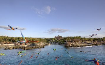 Registra Experiencias Xcaret la Mayor Transformación Digital de su Historia