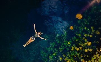 Otorgan Premio Internacional a Xenotes por Excelencia en Marketing