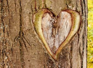 ¿QUÉ PODEMOS HACER POR NUESTRO PLANETA?