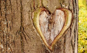 ¿QUÉ PODEMOS HACER POR NUESTRO PLANETA?