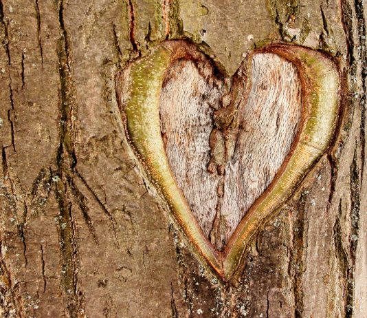 ¿QUÉ PODEMOS HACER POR NUESTRO PLANETA?