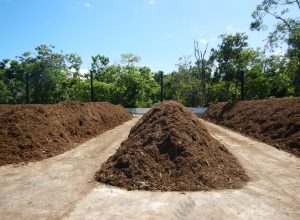 Recuperación y transformación de los residuos orgánicos en Grupo Xcaret
