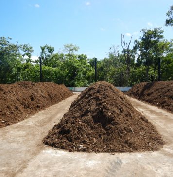 Recuperación y transformación de los residuos orgánicos en Grupo Xcaret