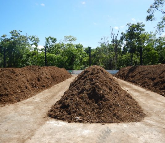 Recuperación y transformación de los residuos orgánicos en Grupo Xcaret