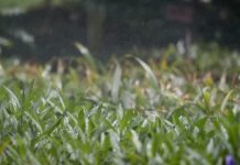 En Grupo Xcaret estamos comprometidos con el Cuidado del Agua