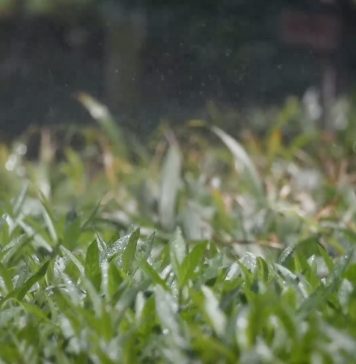 En Grupo Xcaret estamos comprometidos con el Cuidado del Agua