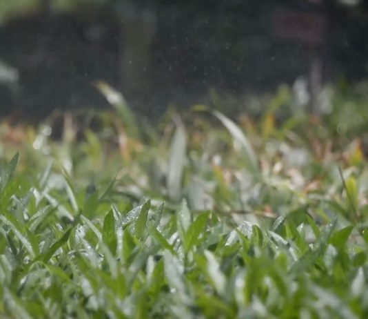 En Grupo Xcaret estamos comprometidos con el Cuidado del Agua