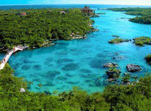 22 DE ABRIL: DÍA INTERNACIONAL DE LA MADRE TIERRA