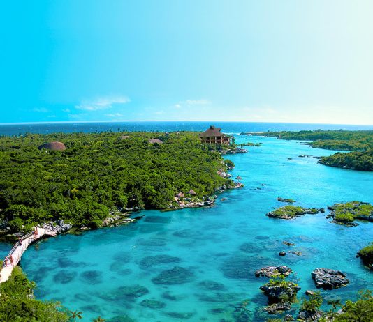 22 DE ABRIL: DÍA INTERNACIONAL DE LA MADRE TIERRA