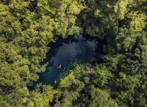 5 DE JUNIO: DÍA MUNDIAL DEL MEDIO AMBIENTE