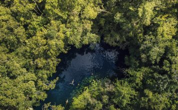 5 DE JUNIO: DÍA MUNDIAL DEL MEDIO AMBIENTE