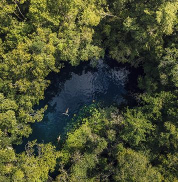 5 DE JUNIO: DÍA MUNDIAL DEL MEDIO AMBIENTE