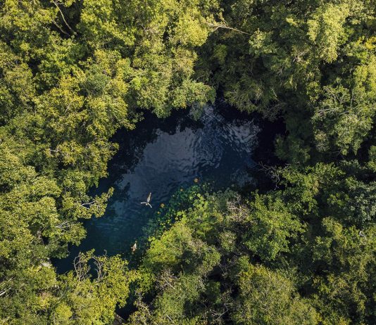 5 DE JUNIO: DÍA MUNDIAL DEL MEDIO AMBIENTE