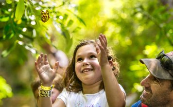 27 DE SEPTIEMBRE: DÍA MUNDIAL DEL TURISMO – TURISMO E INVERSIONES VERDES