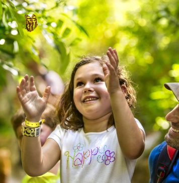 27 DE SEPTIEMBRE: DÍA MUNDIAL DEL TURISMO – TURISMO E INVERSIONES VERDES