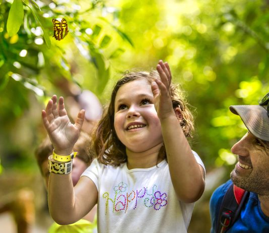 27 DE SEPTIEMBRE: DÍA MUNDIAL DEL TURISMO – TURISMO E INVERSIONES VERDES