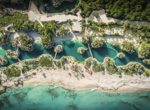 ¿QUÉ ES LA HORA DEL PLANETA?