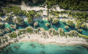 ¿QUÉ ES LA HORA DEL PLANETA?