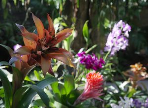 22 DE ABRIL – DÍA INTERNACIONAL DE LA MADRE TIERRA