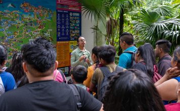 Grupo Xcaret lanza programa de turismo social “Kone’ex Xíimbal”