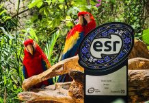 Grupo Xcaret celebra 24 años consecutivos de recibir el distintivo ESR® del Cemefi