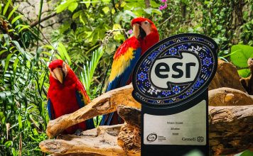 Grupo Xcaret celebra 24 años consecutivos de recibir el distintivo ESR® del Cemefi